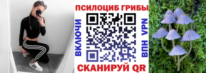Галлюциногенные грибы мицелий Белокуриха